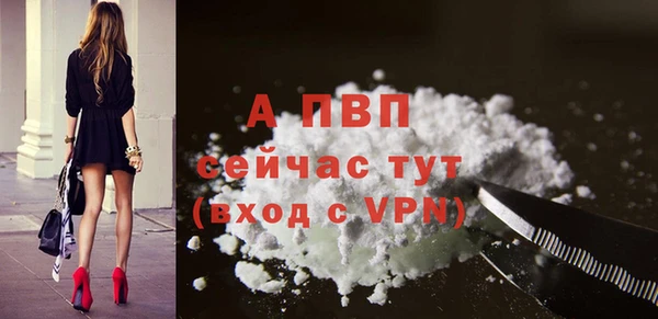 тгк Дмитриев