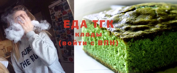 тгк Дмитриев