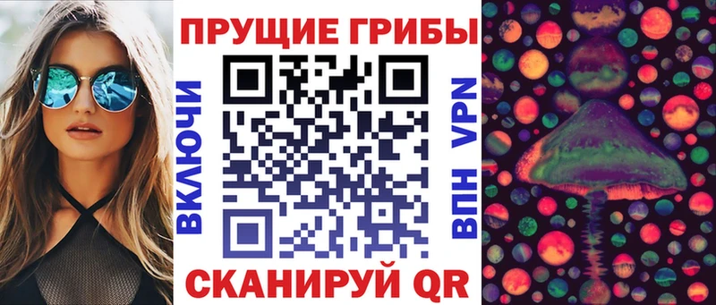 kraken вход  сколько стоит  Заречный  Псилоцибиновые грибы мухоморы 