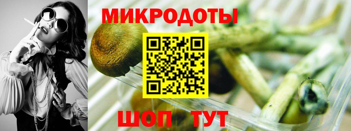 Alpha PVP  Хэш  Вход с VPN  Заречный  ГАШ  Кислота  КОКАИН  MDMA  Мяу-Мяу 