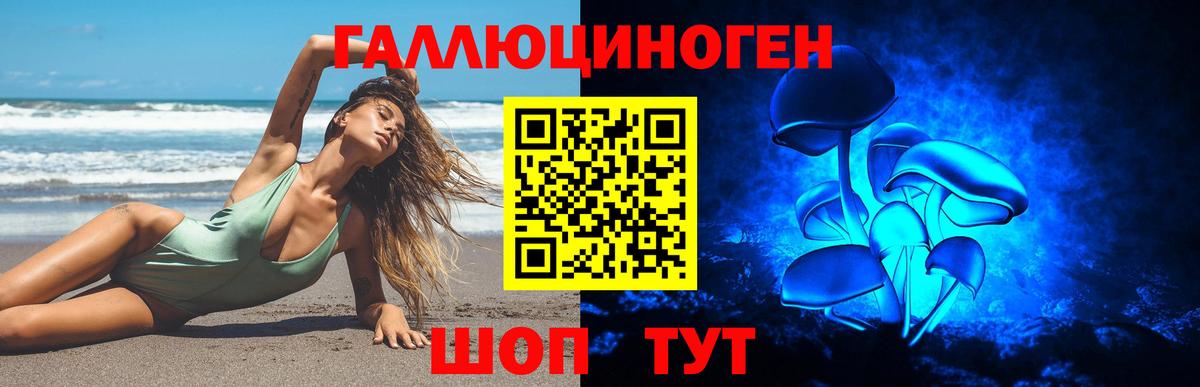 Псилоцибиновые грибы мицелий  Галлюциногенные грибы ЛСД  закладка  Вход с VPN  Заречный 